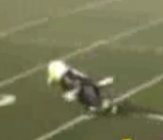 Mascot Falls While Running Across Field
